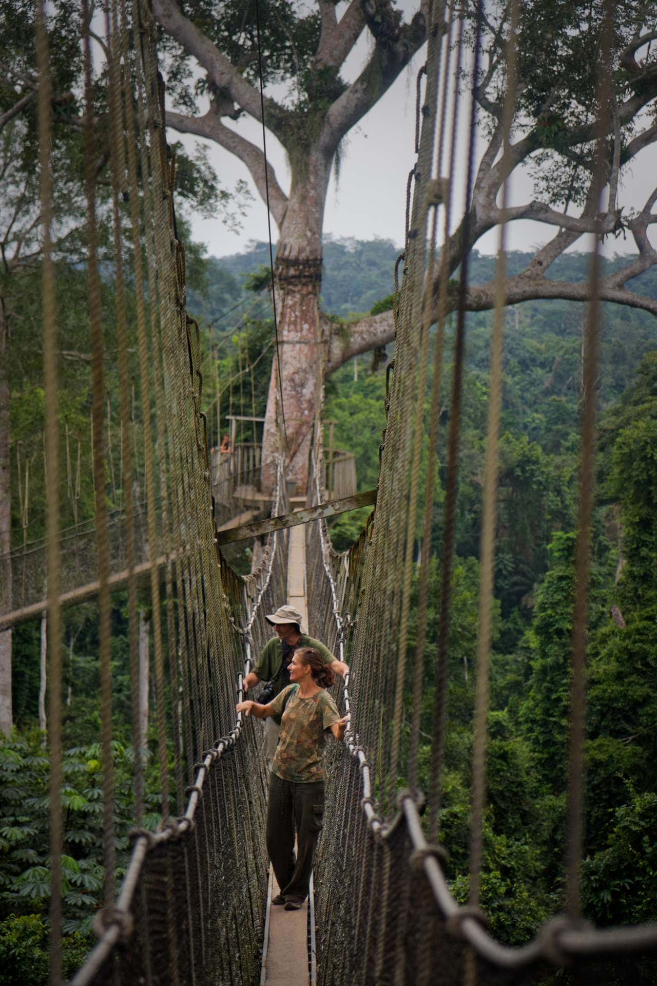 Parc National de Kakum