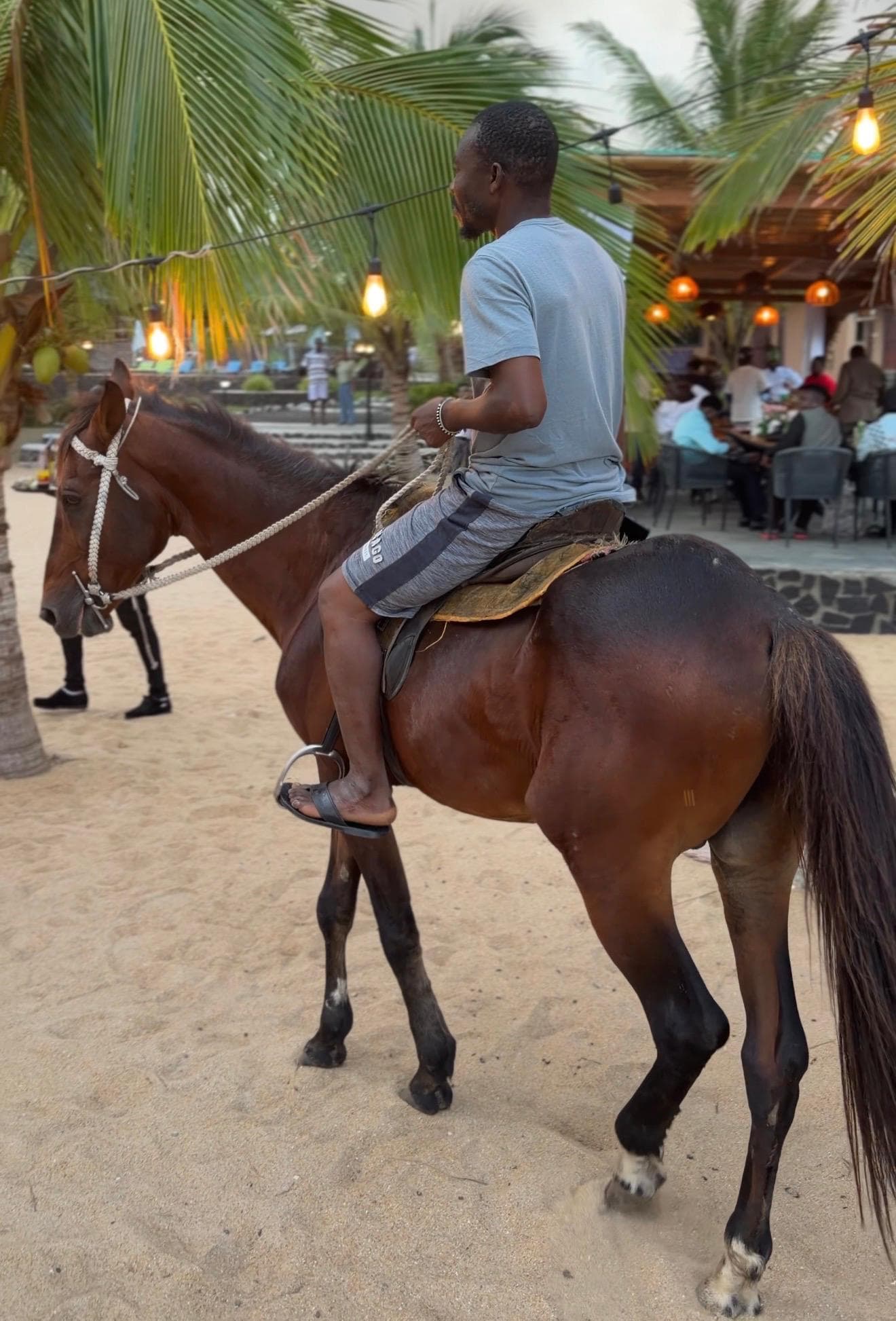 Horse Riding video